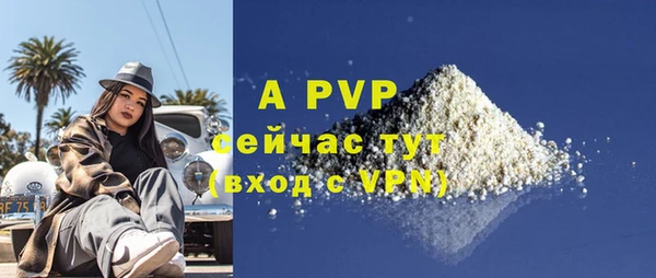 индика Бугульма
