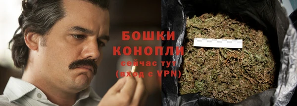 индика Бугульма
