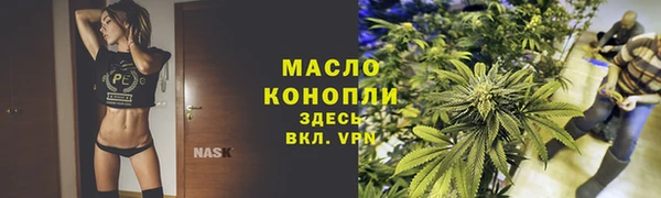 индика Бугульма