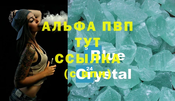 индика Бугульма