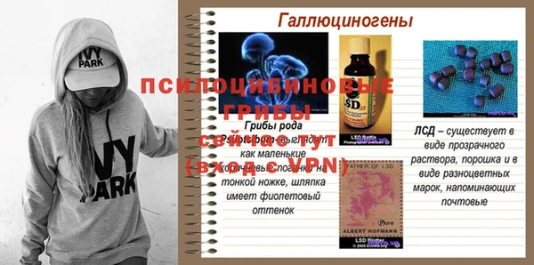 индика Бугульма