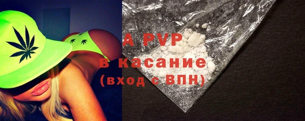 индика Бугульма